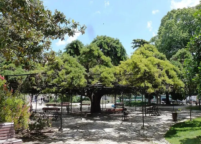 Akicity Real Velvet Apartament