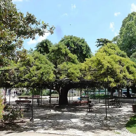 Akicity Real Velvet Apartment